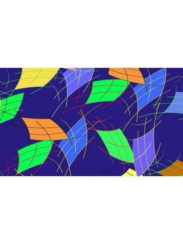 Бифлекс с принтом 000158(3)
