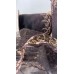 Вышивка на сетке 108402/20(11102)L (левая) шоколадно коричневый (111) 